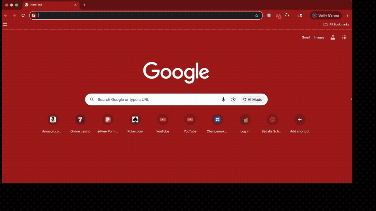 Extension Log Capture.gif